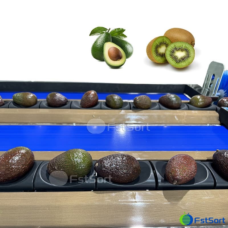 images/1762930773178avocado grader.jpg